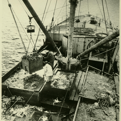 Crab Boat Deck in Alaska.