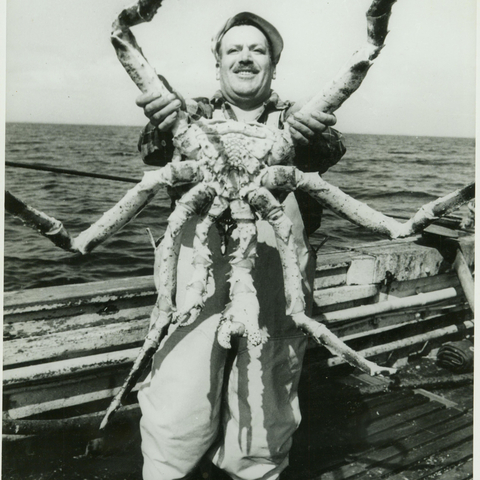 Crab Catch in Alaska.