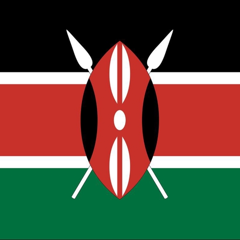 The Kenya flag.