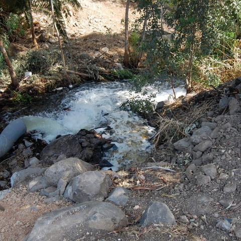 Raw sewage being released in the Lower Jordan River.