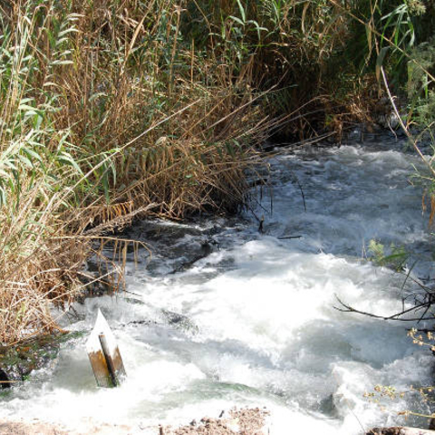 The Lower Jordan River below the Alumot Dam.