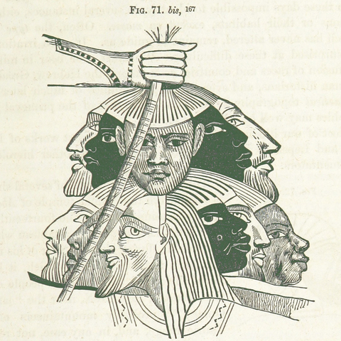 An image from Josiah Clark Nott and George Robins Giddon’s Indigenous Races of the Earth (1857).