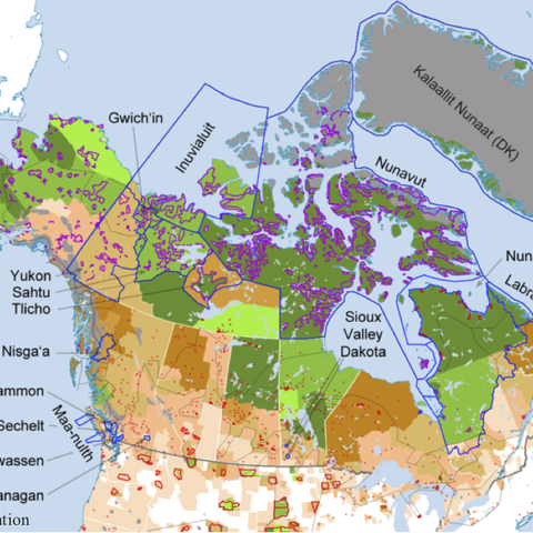 A map of the population density of indigenous people.