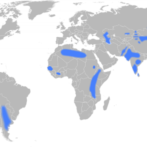 A 2009 map depicting areas with groundwater fluoride concentrations above the recommended levels.