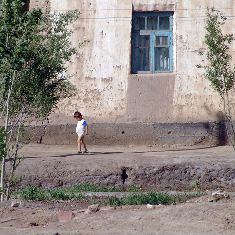 Rural poverty in Khorezm, Uzbekistan, 2004  