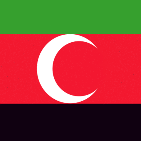 Flag of Darfur.