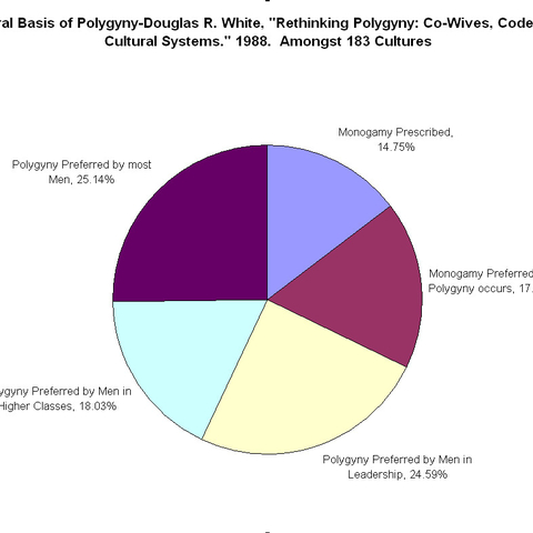 The cultural basis of relationships in selected, primarily non-western cultures. Less than 15% of them require monogamy, and polygyny is generally practiced by men who can afford it in the rest