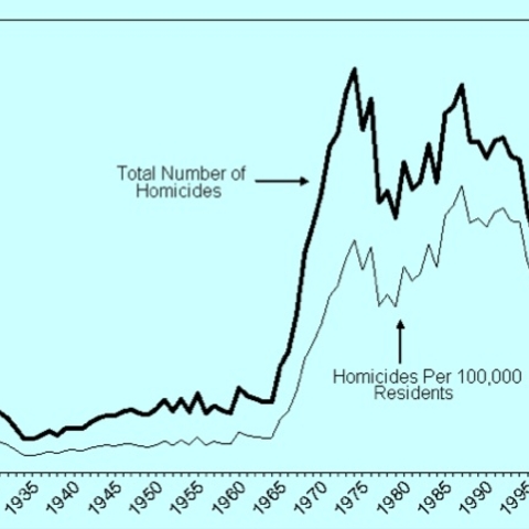 Chart showing the number of homicides in Detroit.