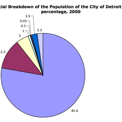 Percentage of Population in Detroit by Race, 2000.