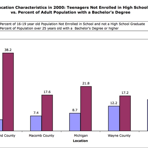 Chart showing different educational characteristics of the Detroit metropolitan areas