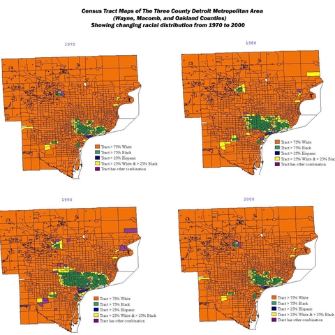 Changes in Racial Compositon of the Three County Detroit Metro Area, 1970 to 2000.