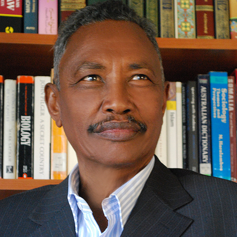 Dr. Abdirahman Mohamed Farole, President of the Puntland region of Somalia since January 2009  