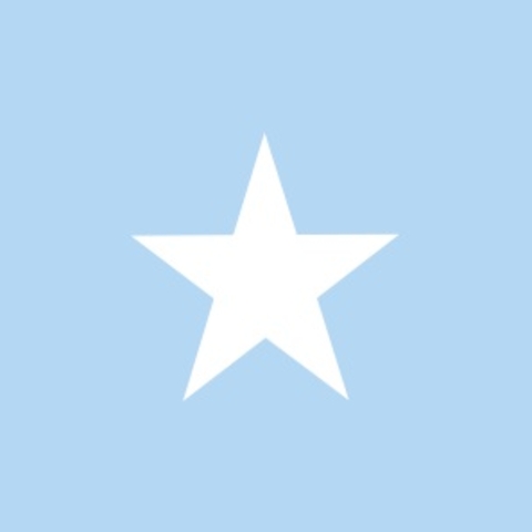 Flag of Somalia  