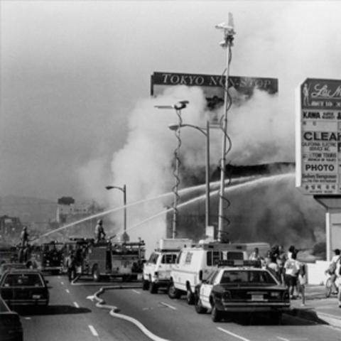 A line of police cars in Los Angeles