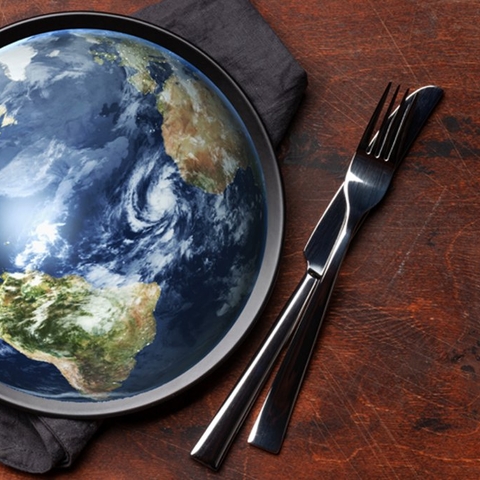 Globe on a plate with knife and fork next to it