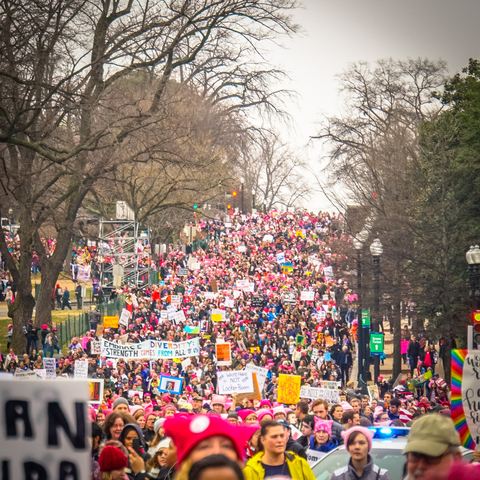 Crowd photo at the 2017 Women's March in Washington DC