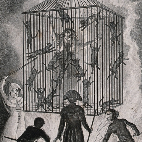  A depiction of the burning of Louisa Mabree, a French midwife and convicted witch, in a cage filled with black cats