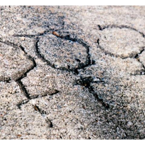 3 of the symbol for female written in gravel