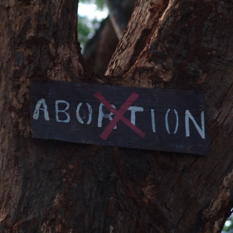 a sign on a tree that reads abortion with a red X over the word