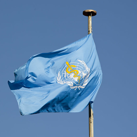 The flag of the World Health Organization, founded in 1948, flies over the WHO headquarters in Geneva, Switzerland.