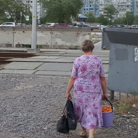 A woman on the outskirts of Kyiv carrying a bucket of apricots