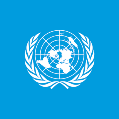 The flag of the United Nations