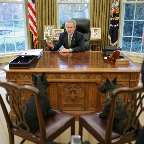 President George W. Bush sitting at his desk across from his dogs in 2005.