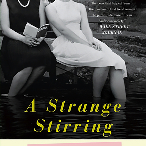Cover of A Strange Stirring The Feminine Mystique and American Women at the Dawn of the 1960s by Stephanie Coontz.