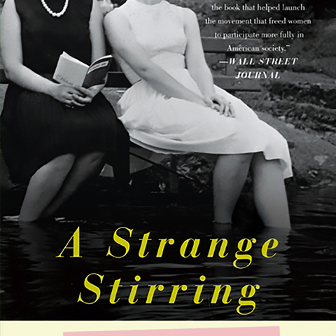 Cover of A Strange Stirring The Feminine Mystique and American Women at the Dawn of the 1960s by Stephanie Coontz.
