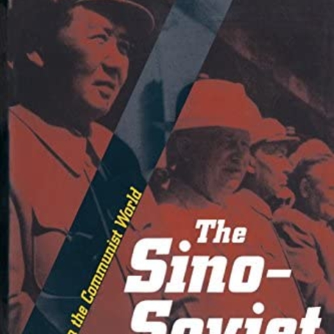 The Sino-Soviet Split: Cold War in the Communist World, by Lorenz M Luthi Book Cover
