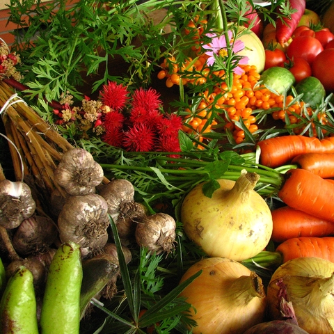 Vegetables from ecological farming.