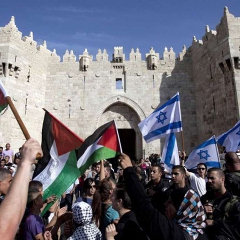 people with palestinian flags and people holding flags of Israel