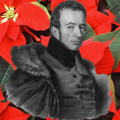 Joel Roberts Poinsett on a background of poinsettias.