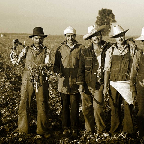 a group of male Mexican immigrants standing in a field