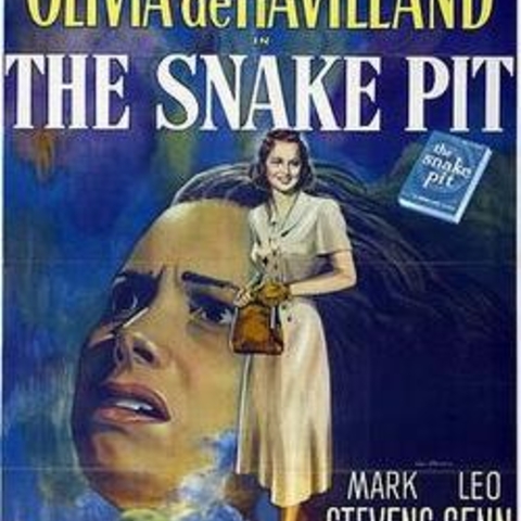 The 1948 film The Snake Pit.