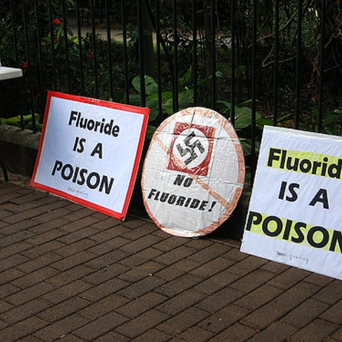 Signs from a 2009 protest against fluoride in Australia.