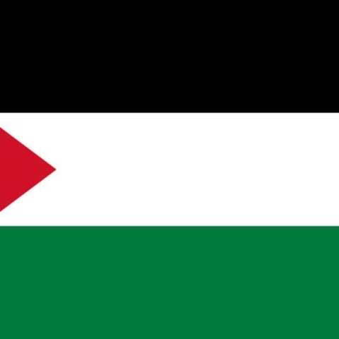 Palestinian Flag