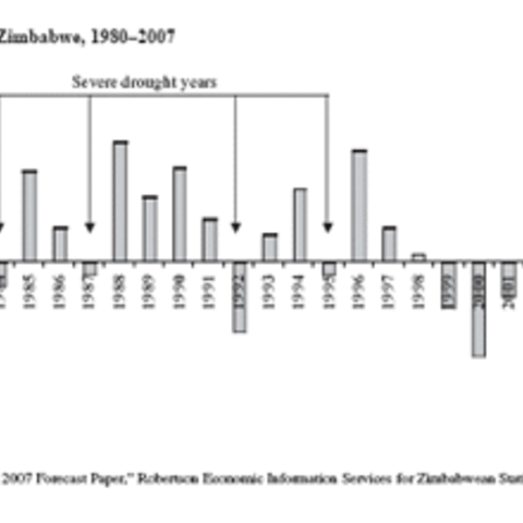 GDP Growth of Zimbabwe, 1980-2007