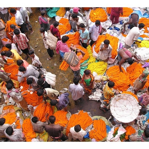 The Mullikghat flower market in Kolkata, 2007