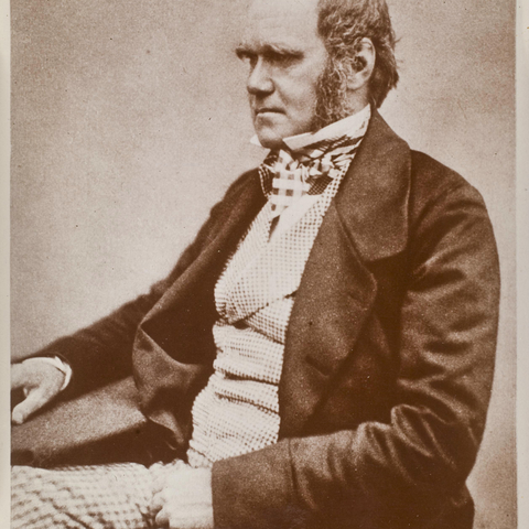 British scientist Charles Darwin.