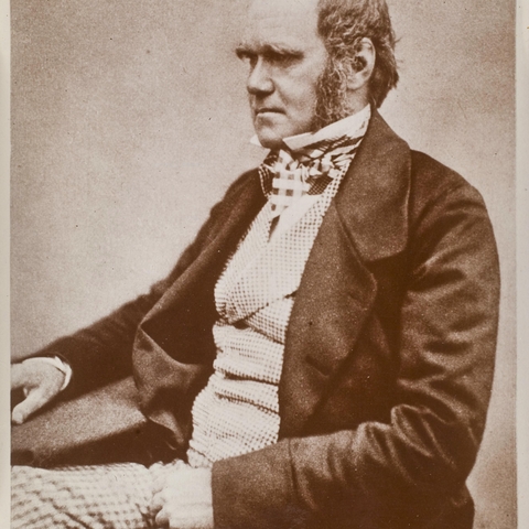 Charles Darwin (1809-1882)-English Naturalist who supported the scientific theories of natural selection and evolution