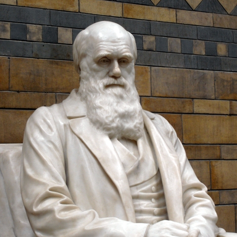 Statue of Charles Darwin in the Natural History Museum in London. Created by Joseph Boehm in 1885