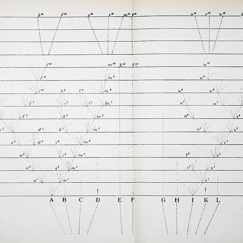 The only illustration in Darwin's On the Origin of Species, A tree diagram, used to show the divergence of species through evolution