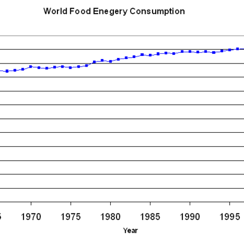 Chart showing the growth of world food energy consumption from 1961