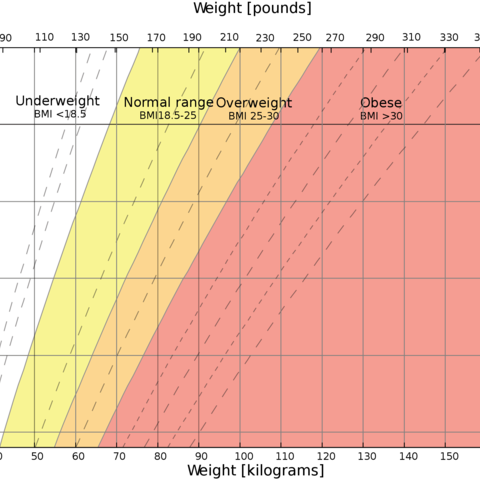 Body Mass Index Graph showing divisions of underweight, normal weight, and overweight