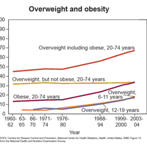 Graph showing the rate of obesity in adults and overweight in both children and adults in the United States from 1960-2004