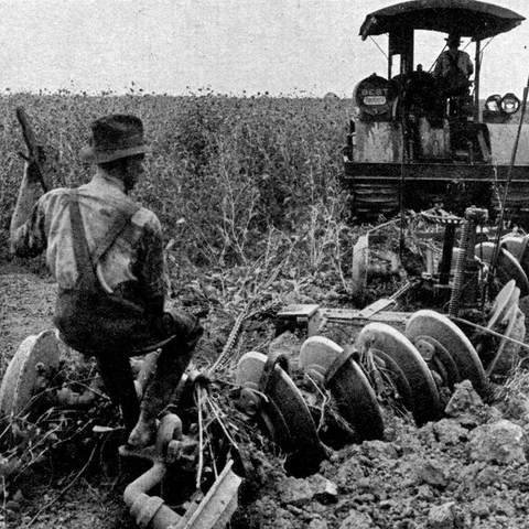 Tractor plowing an alfalfa field in 1921