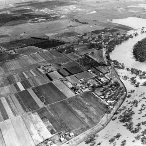 Aerial view of Nangiloc, Iraak and Colignan during the 1956 Murray River Flood
