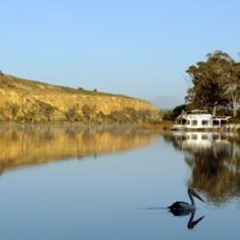 Cliffs along the Murray River, near Younghusband, South Australia, with a Houseboat on the Right and an Australian Pelican in the Foreground
