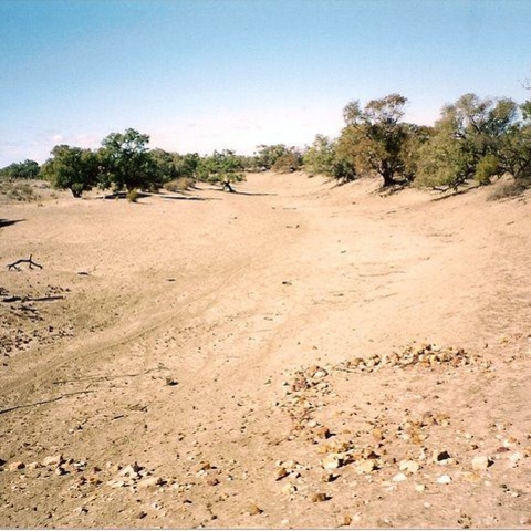 The Dry Bed of the Paroo River near Wilcannia, May 2002